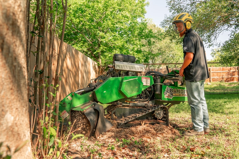 Complete Stump Grinding and Removal Services in Eugene Oregon